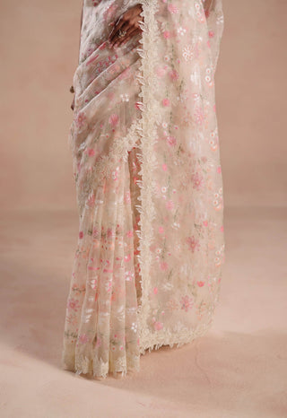 Ivory solana sari and blouse