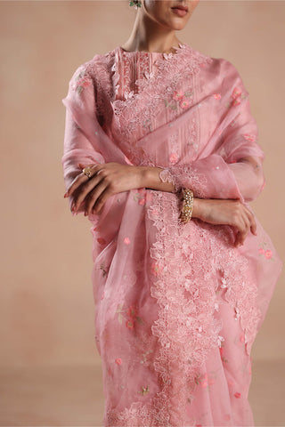 Pink shiloh sari and blouse