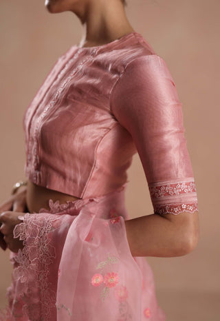 Pink shiloh sari and blouse