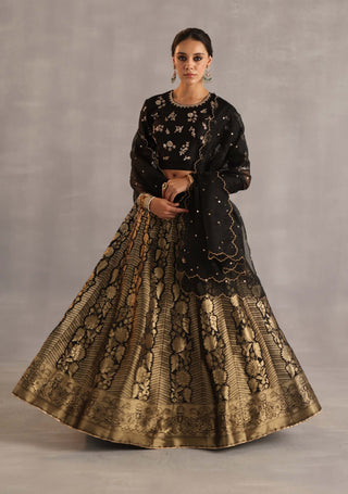 Malhar black and gold lehenga set