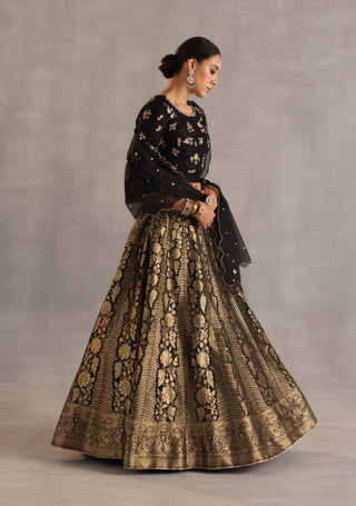 Malhar black and gold lehenga set