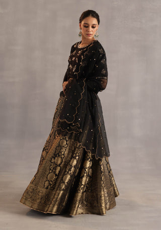 Malhar black and gold lehenga set