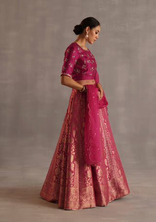 Malhar magenta lehenga set