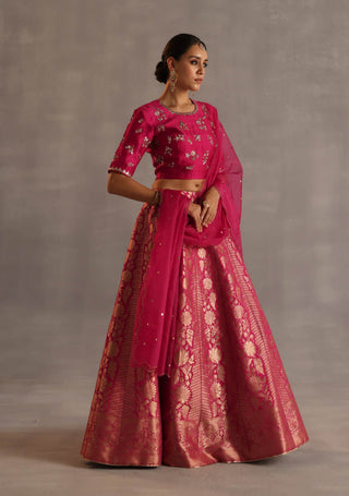 Malhar magenta lehenga set