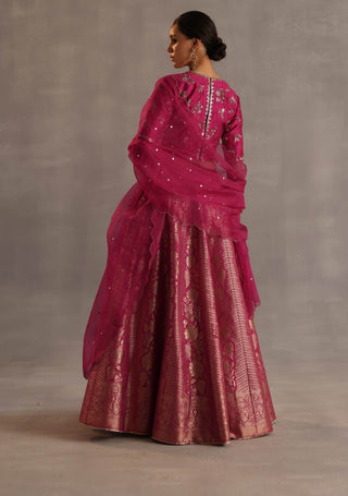 Malhar magenta lehenga set