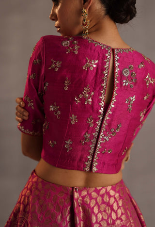 Malhar magenta lehenga set