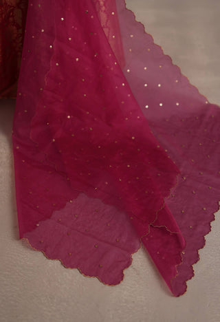 Malhar magenta lehenga set