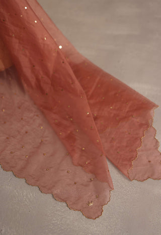 Malhar peach lehenga set