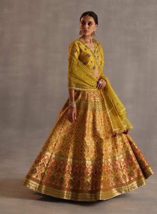 Saras yellow lehenga set