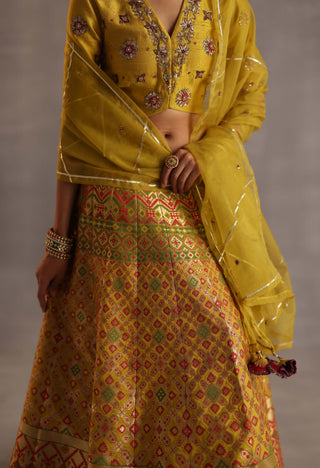 Saras yellow lehenga set