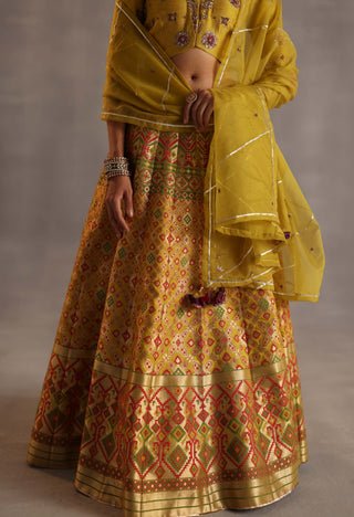 Saras yellow lehenga set