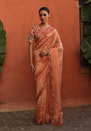 Gulkand Peach Sari And Brocade Blouse by Begum Pret available on Indiaspopup.com