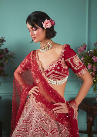 Bindani By Jigar And Nikita-Red Raw Silk Zardosi Lehenga Set-INDIASPOPUP.COM