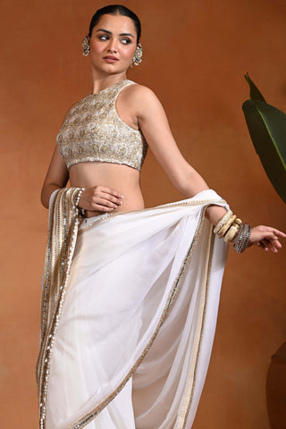 Ivory noor chiffon sari and blouse