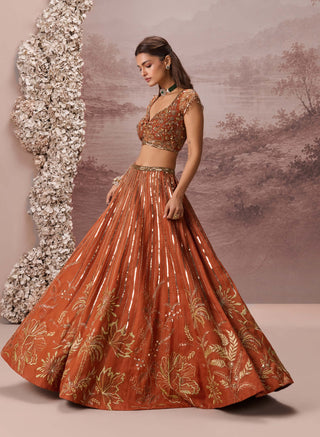 Rust gulnaar lehenga set