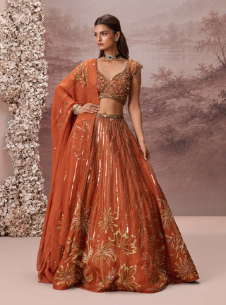 Rust gulnaar lehenga set