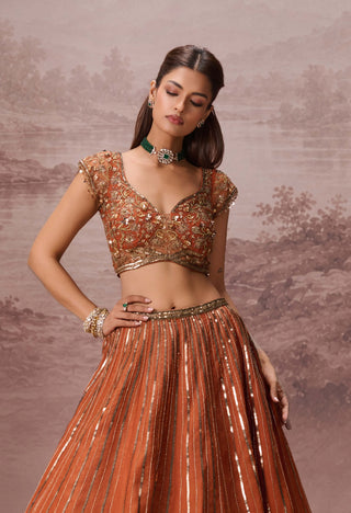 Rust gulnaar lehenga set