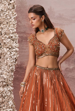 Rust gulnaar lehenga set