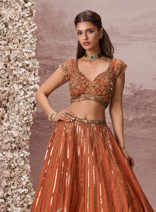 Rust gulnaar lehenga set
