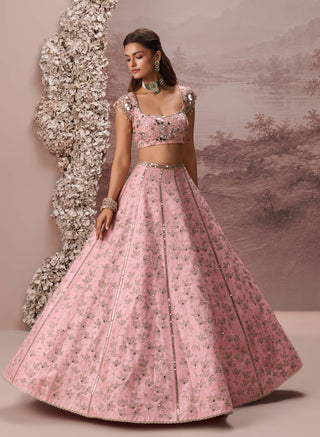 Pink raina lehenga set