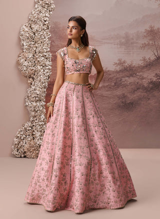 Pink raina lehenga set