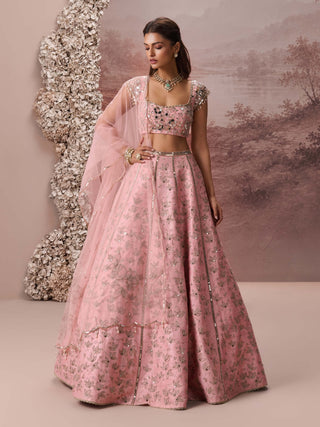 Pink raina lehenga set