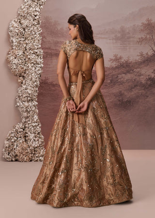Bronze gold zariya lehenga set