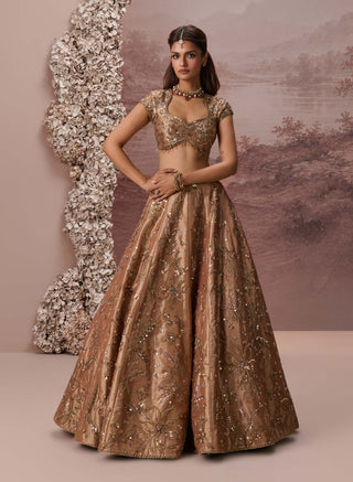 Bronze gold zariya lehenga set