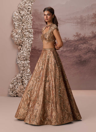 Bronze gold zariya lehenga set