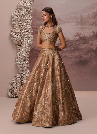 Bronze gold zariya lehenga set