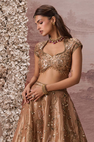 Bronze gold zariya lehenga set