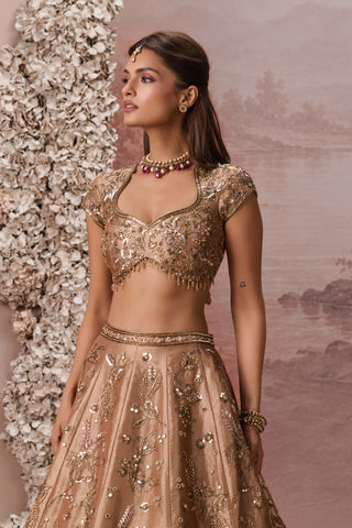 Bronze gold zariya lehenga set