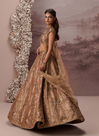 Bronze gold zariya lehenga set