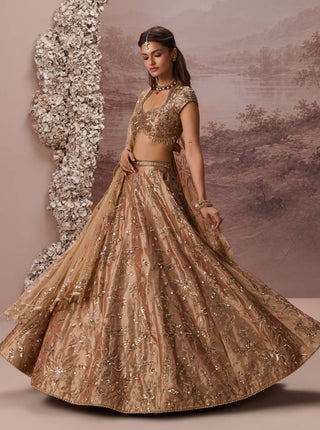 Bronze gold zariya lehenga set