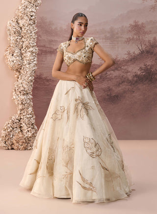 Off-white gold elaria lehenga set