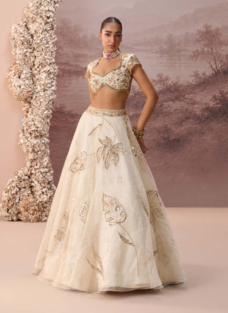 Off-white gold elaria lehenga set