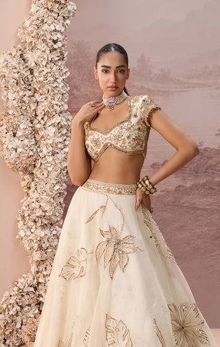 Off-white gold elaria lehenga set