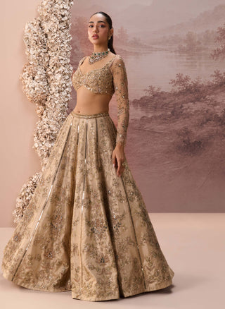 Light gold mesh lehenga set