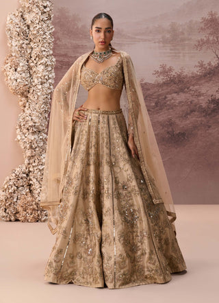 Light gold mesh lehenga set