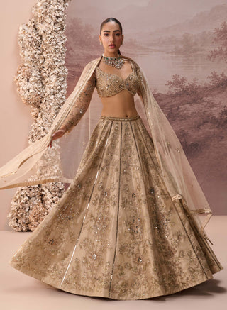 Light gold mesh lehenga set