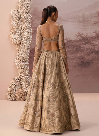 Light gold mesh lehenga set