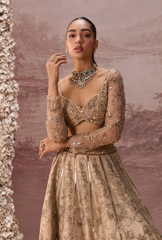 Light gold mesh lehenga set