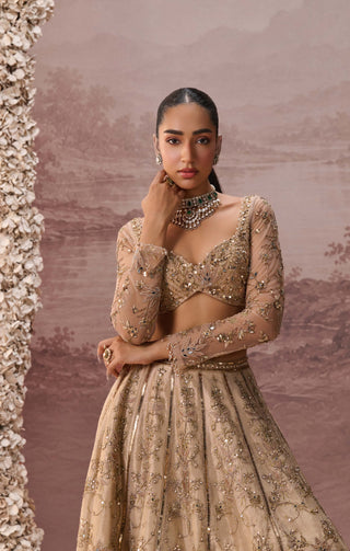Light gold mesh lehenga set