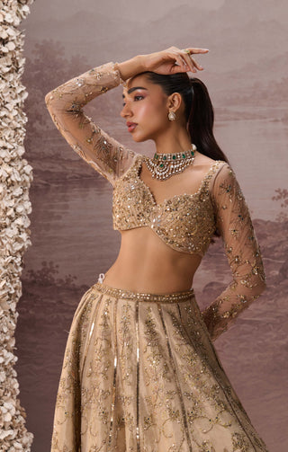 Light gold mesh lehenga set