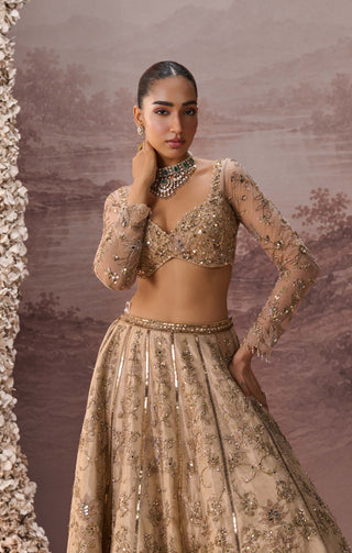 Light gold mesh lehenga set