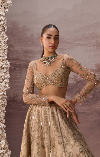 Light gold mesh lehenga set
