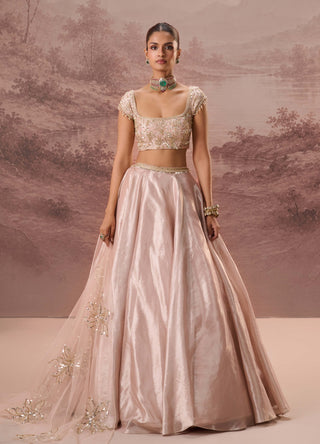 Pink pankhuri lehenga set