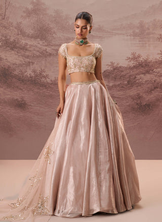 Pink pankhuri lehenga set