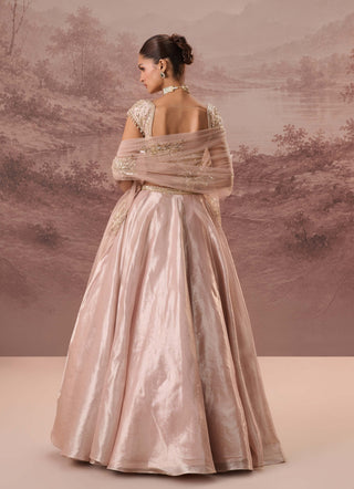 Pink pankhuri lehenga set