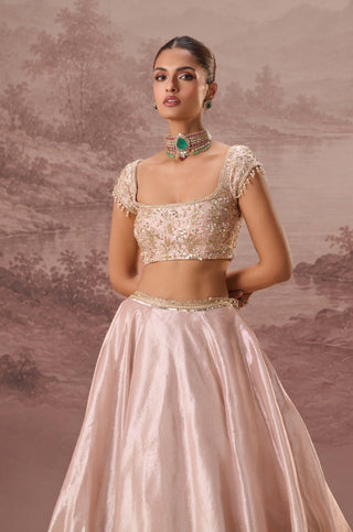 Pink pankhuri lehenga set